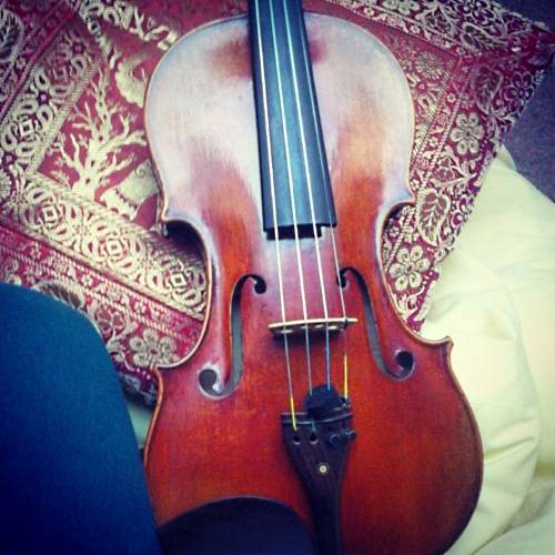 violin.jpg