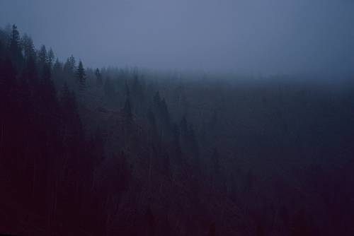 misty mountains for coyote.jpg