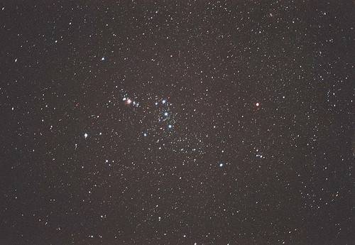 stars for coyote.jpg