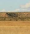 wilderness survival plains.jpg