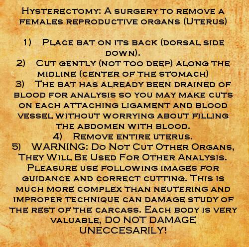 parchment3.jpg