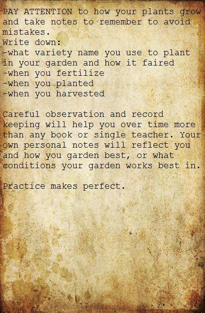 gardening5.JPG