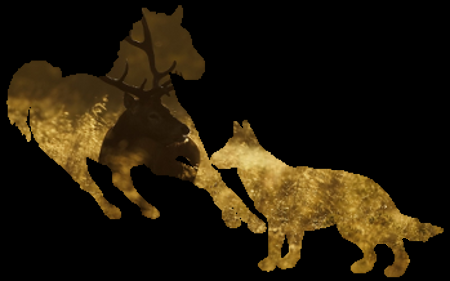 horsedog.png