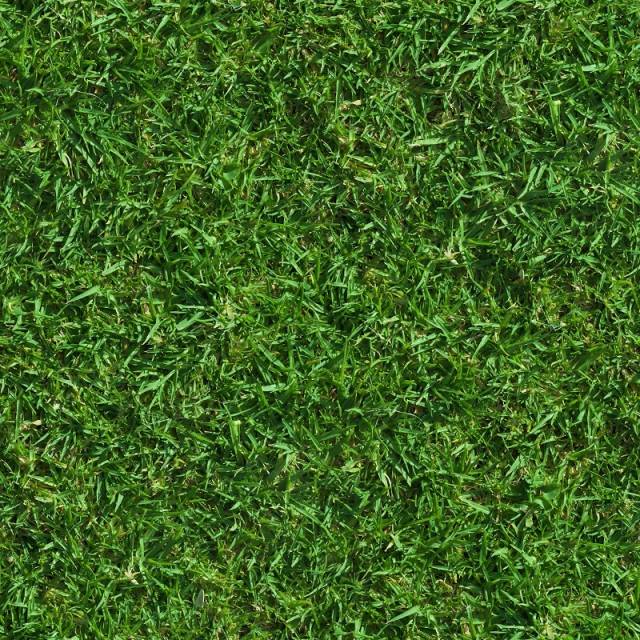 Green lush grass seamless texture.jpg
