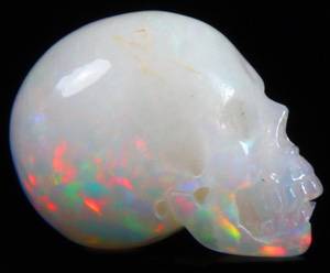 Scull.jpg