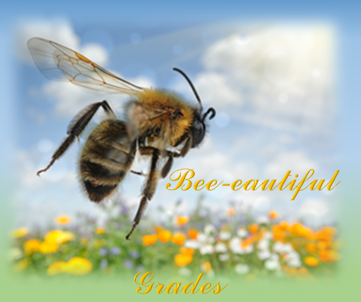 Bee-eautiful Grades.png