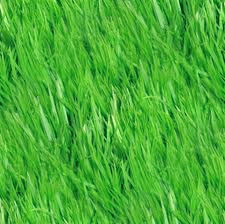 gregrass.png