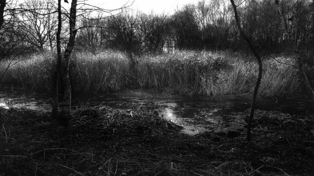 dark_marsh_by_rob_jackson-d5qrau4.jpg
