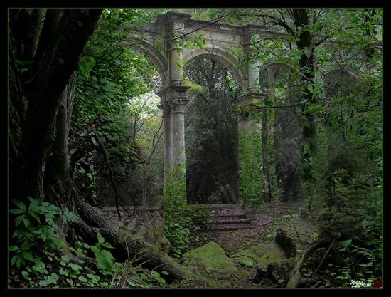 Forest_Ruins_by_HeliusFlame.jpg