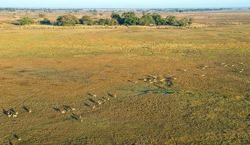 01I07K-IM1001-kafue-rivers-and-plains-1475.jpg