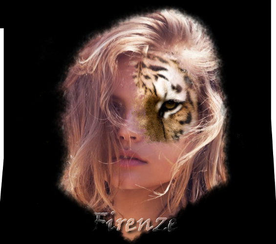 firenze.png