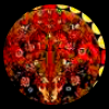 Brocade CS Design Framepic.png