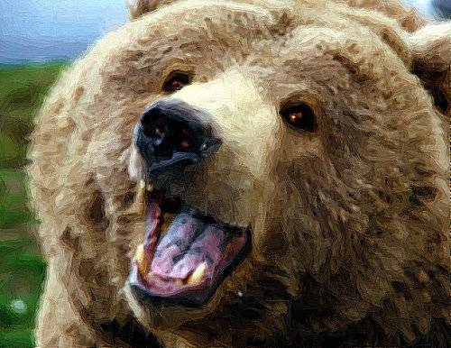Jehrikobear.jpg