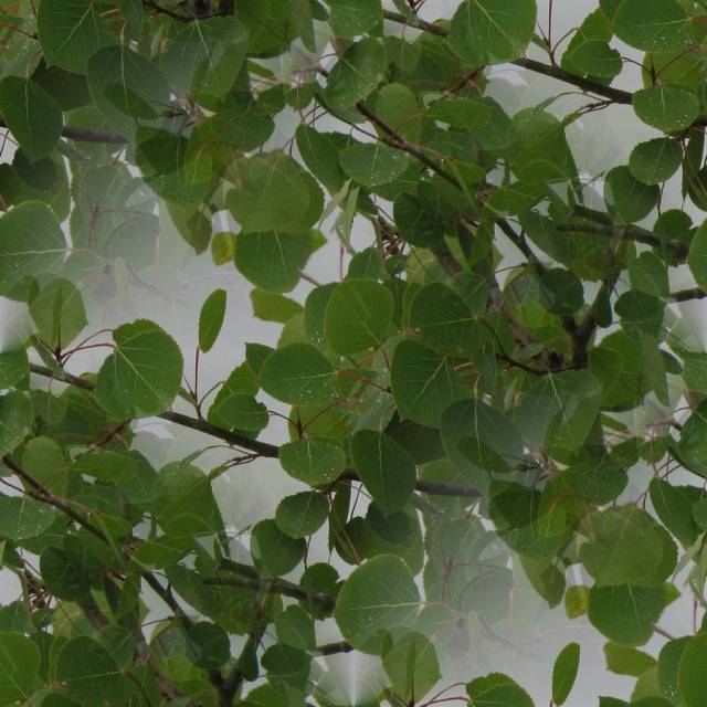 seamless_leaves_by_meyrocu.jpg