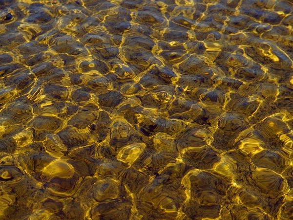 shallow-water_9436_600x450.jpg