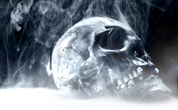retic-skull-top.png
