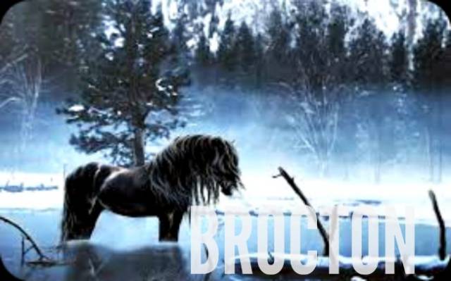 Brocton Horse Two.jpg