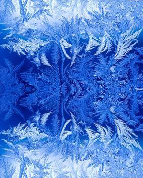 frost3.jpg