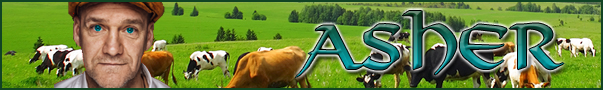 asherbanner.png