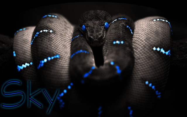 Snek.png