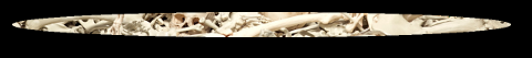 footer.png