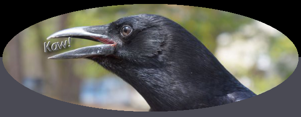 crow.png