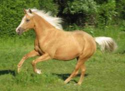 9580173_origSmaller.jpg