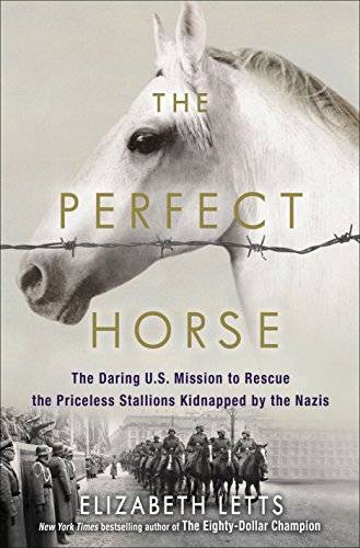 horse.jpg