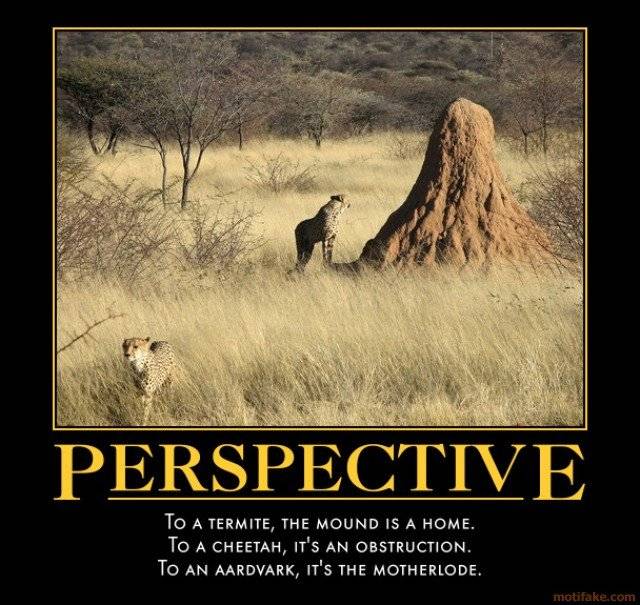 Perspective1.jpg
