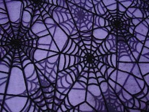 purple_spider-webs.jpg