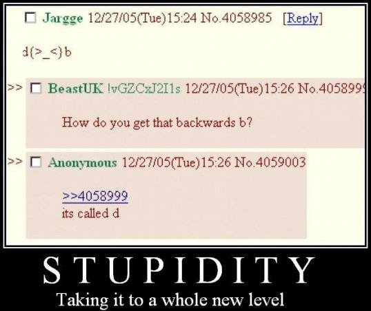 stupidity.jpg