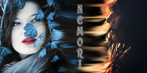 nemori2.png