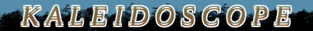 Kal_Scope_Template_BottomA3.png