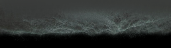 wavesheaderpngbottom.png