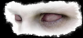 eyez.png