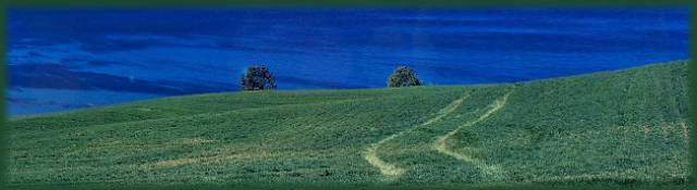 banner_field_blue_sky_framed.jpg