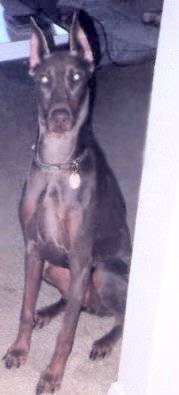 did u say cookie.jpg