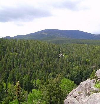 user329572_pic5027_1217176719.jpg