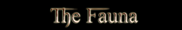The Fauna.png