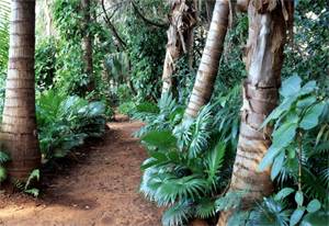 pathway.jpg