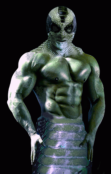 shossazulkrait.gif