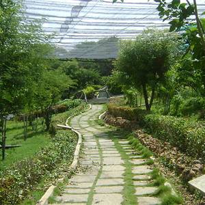 aviary.jpg