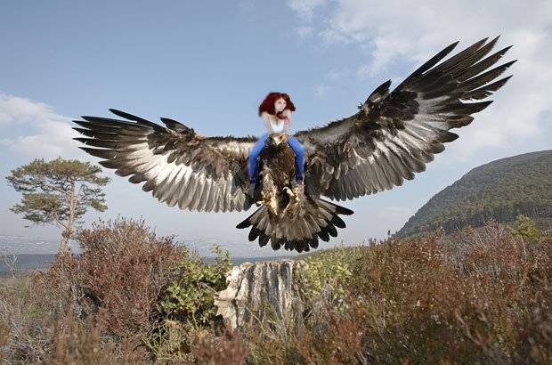ginga eagles.jpg