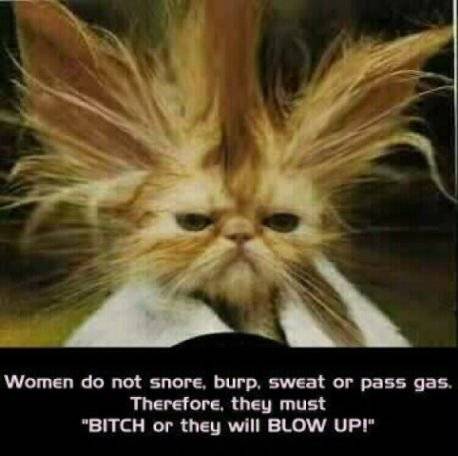 blowup.jpg