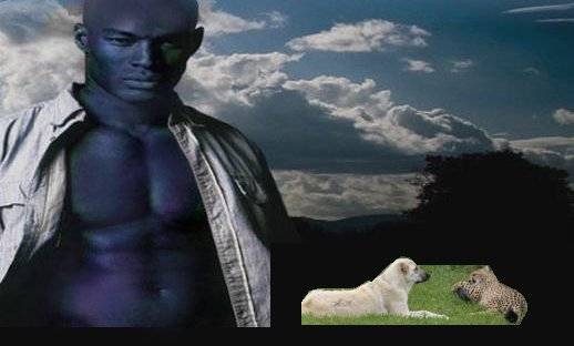 KO top.jpg