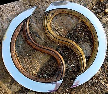 two_piece_chakram_apart.jpg