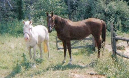 Jazzy and Lucy.jpg