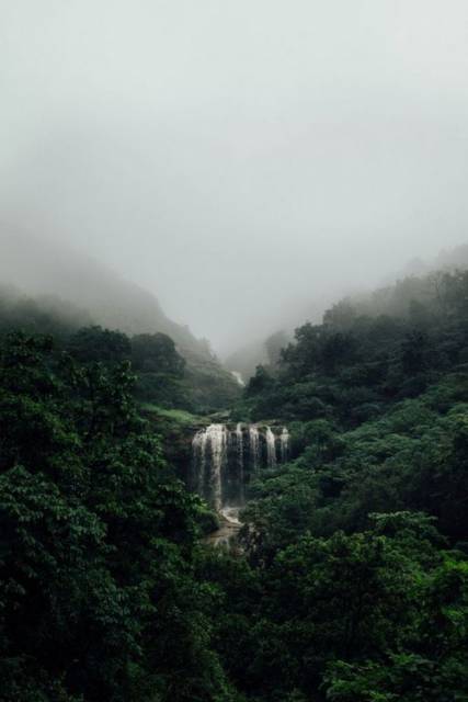 Jungle waterfall vista500.jpg