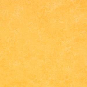 Addy Background color.jpg