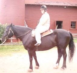 MNA5.jpg